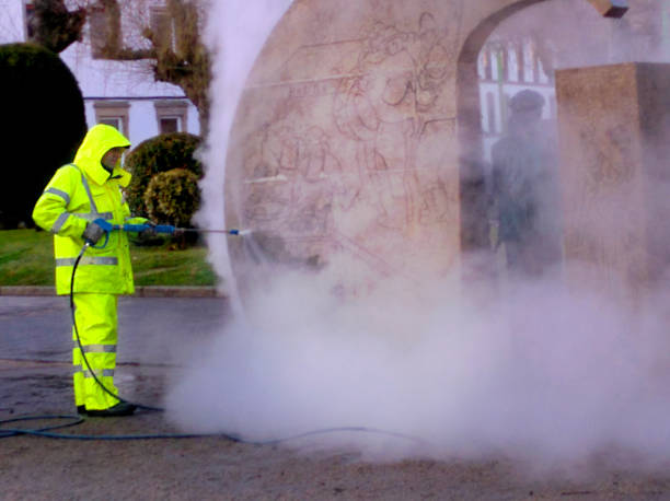 Best Roof Pressure Washing  in Wd, AR